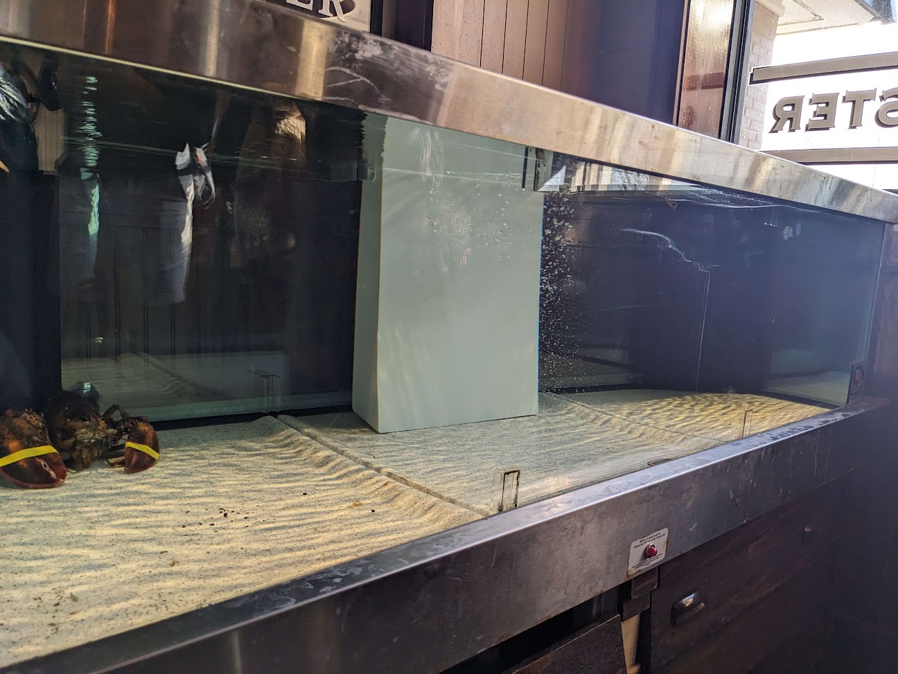 Rajah’s Lobster: Before